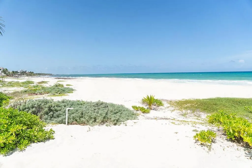 Villa Ixchel - Right On The Beach! Puerto Morelos