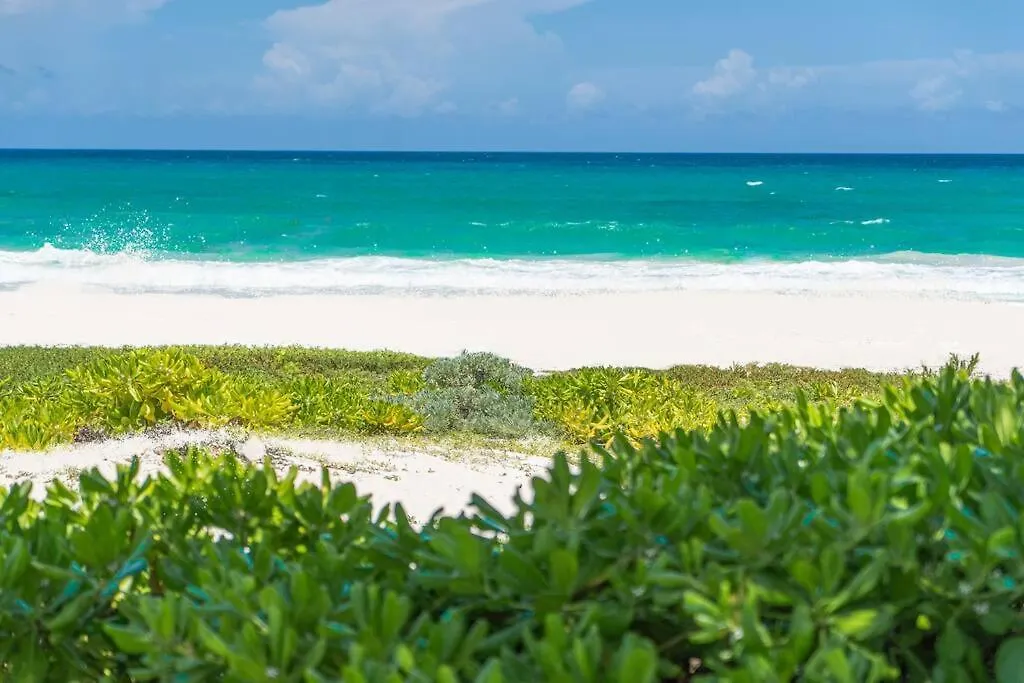 Villa Ixchel - Right On The Beach! Puerto Morelos