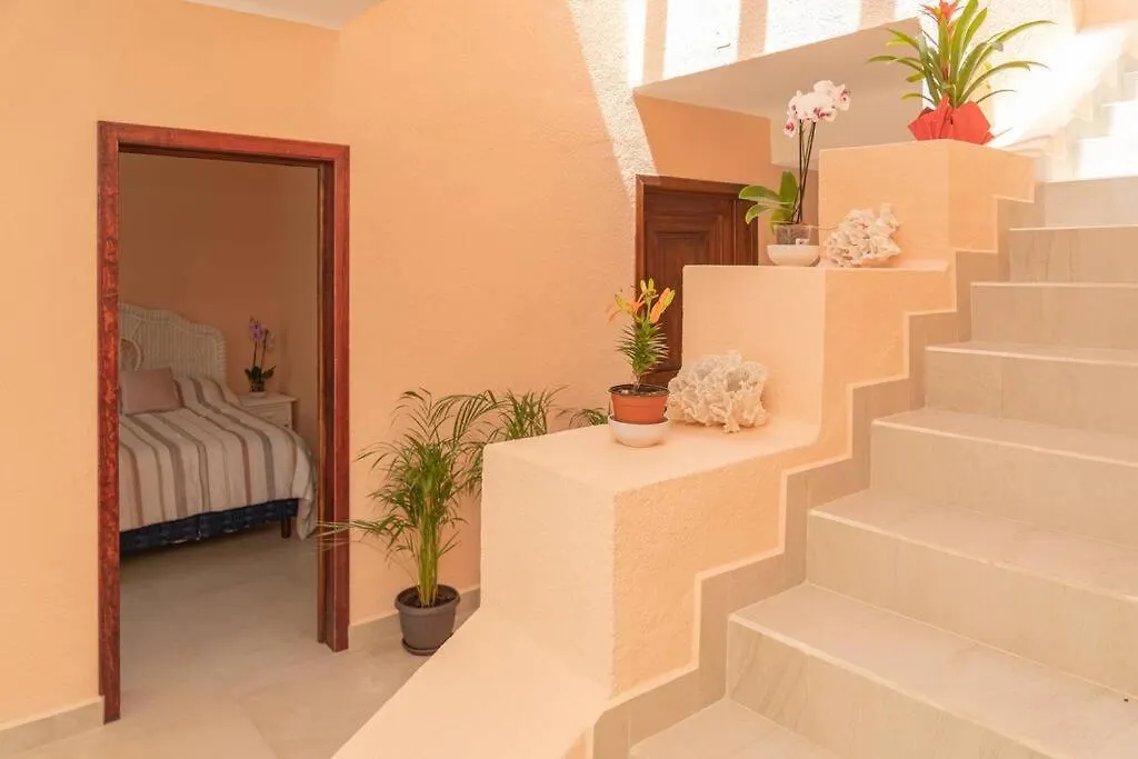 Villa Ixchel - Right On The Beach! Puerto Morelos Mexico