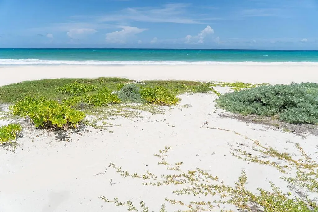 Villa Ixchel - Right On The Beach! Puerto Morelos 0*,  Mexico