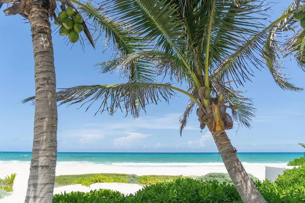 Villa Ixchel - Right On The Beach! Puerto Morelos