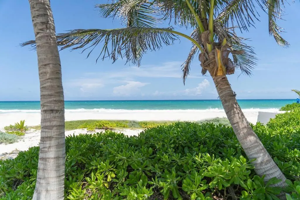 Villa Ixchel - Right On The Beach! Puerto Morelos